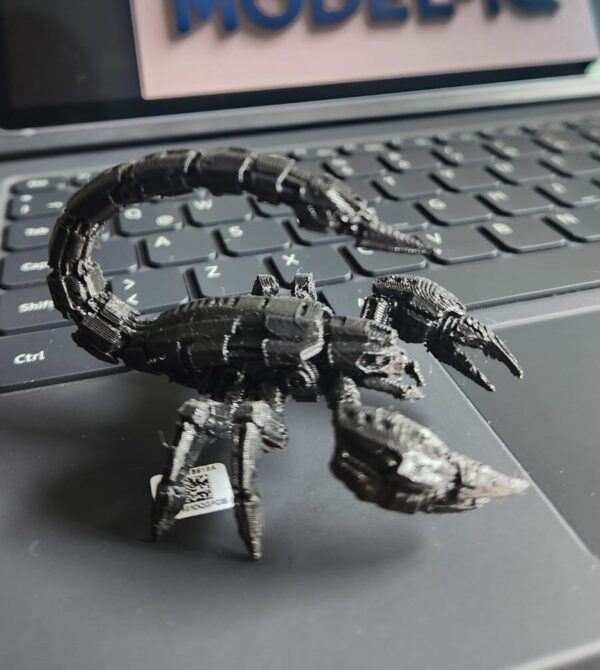 Imagen de WhatsApp 2025-08-07 a las 11.26.24_6521b42d Escorpión 3D | Decorativo