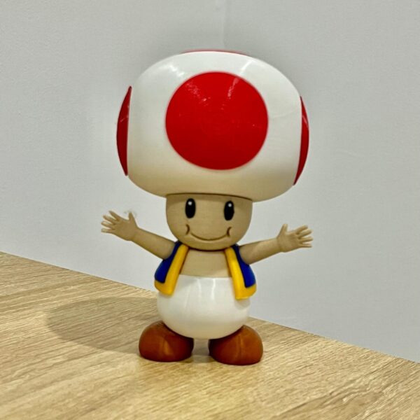 Imagen de WhatsApp 2025-08-29 a las 19.28.01_b2f27dfe toad-mario-bross