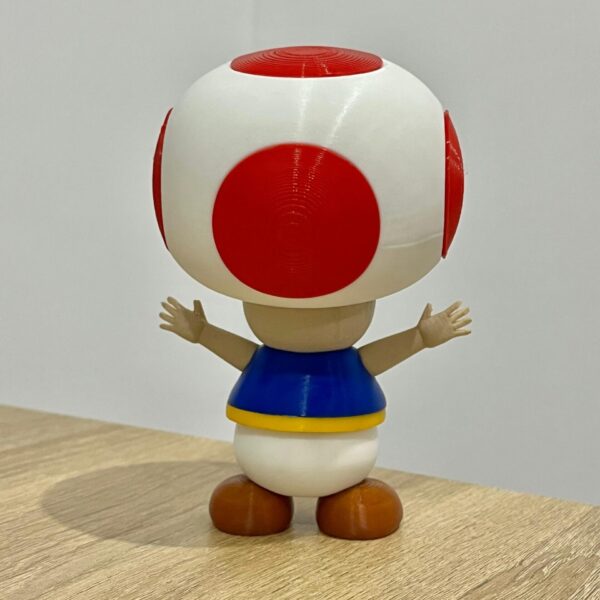 Imagen de WhatsApp 2025-08-29 a las 19.28.08_cbc7a57e toad-mario-bross