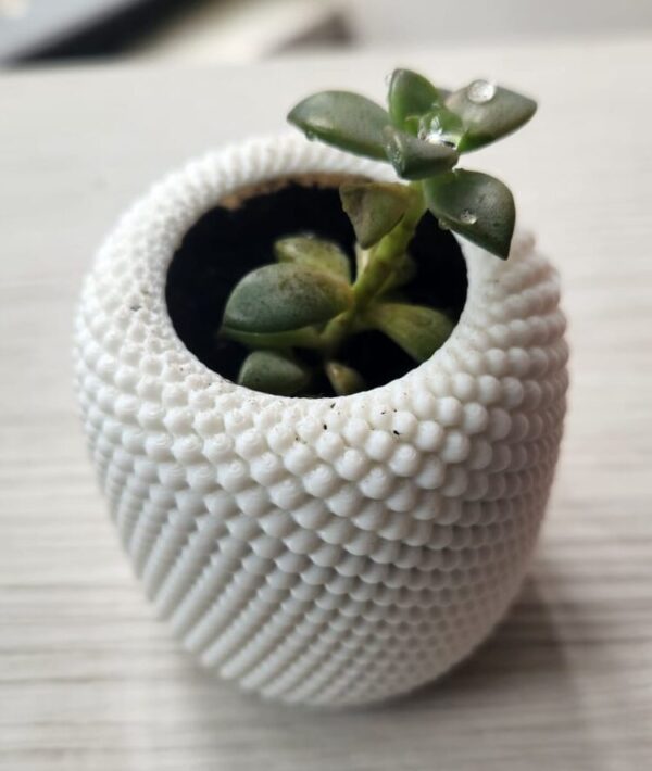 Matera con diseño geométrico espiral blanca con planta