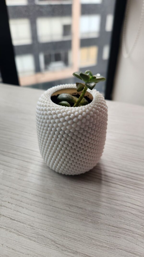 Matera con textura en espiral blanca | ideal para pequeñas plantas